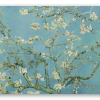 Mandorlo in fiore