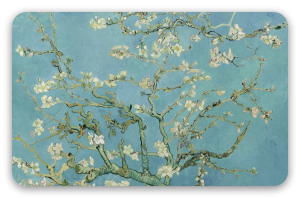 Mandorlo in fiore