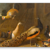 Il cortile del pollame