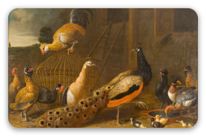 Il cortile del pollame
