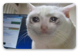 Cry cat