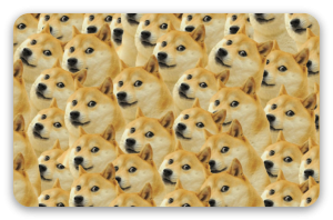 Doge