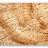 Legno