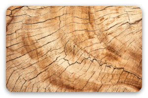 Legno