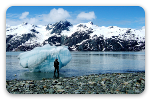 Glacier Bay