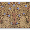 Pimpernel