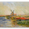 Campi di tulipani in Olanda
