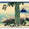 Il passo di Mishima