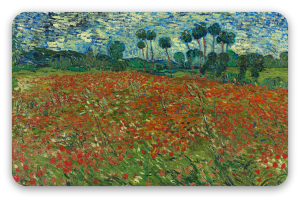 Campo di papaveri