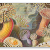 Anemoni di mare (Haeckel)