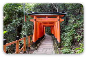 I torii di Kyoto