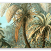 Haeckel Filicinae 92