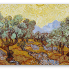 Vincent van Gogh Ulivi