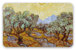 Vincent van Gogh Ulivi