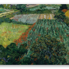 Vincent van Gogh Campo con papaveri (giugno 1889)
