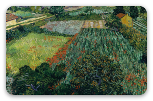 Vincent van Gogh Campo con papaveri (giugno 1889)