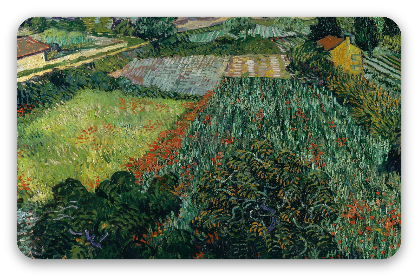 Vincent van Gogh Campo con papaveri (giugno 1889)