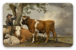 Il toro